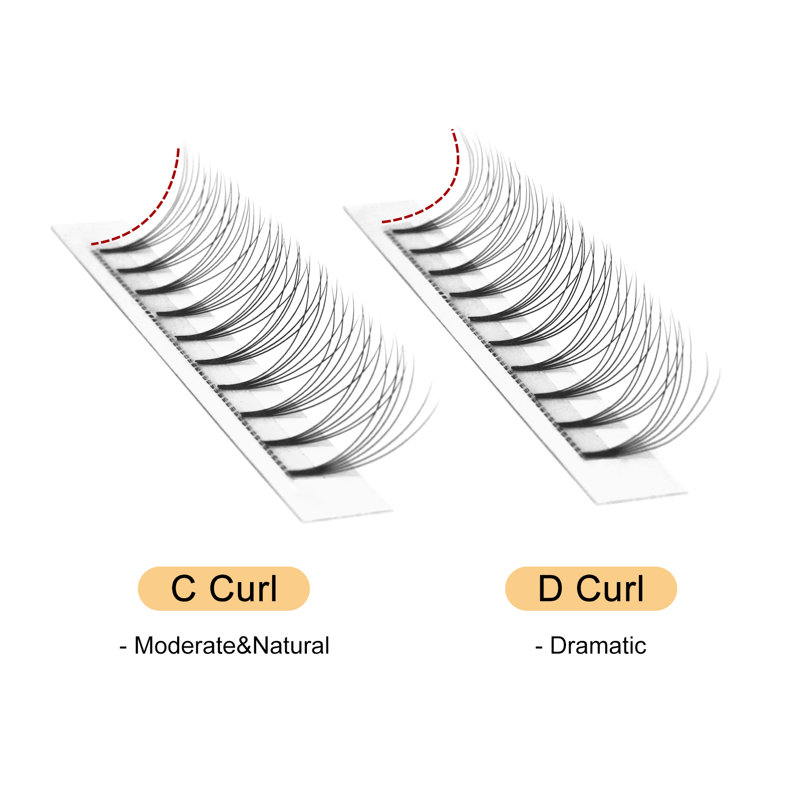 Quewel Premade Fans Lashes 8D/ - Eyelash Extension C Curl recensione e prezzo