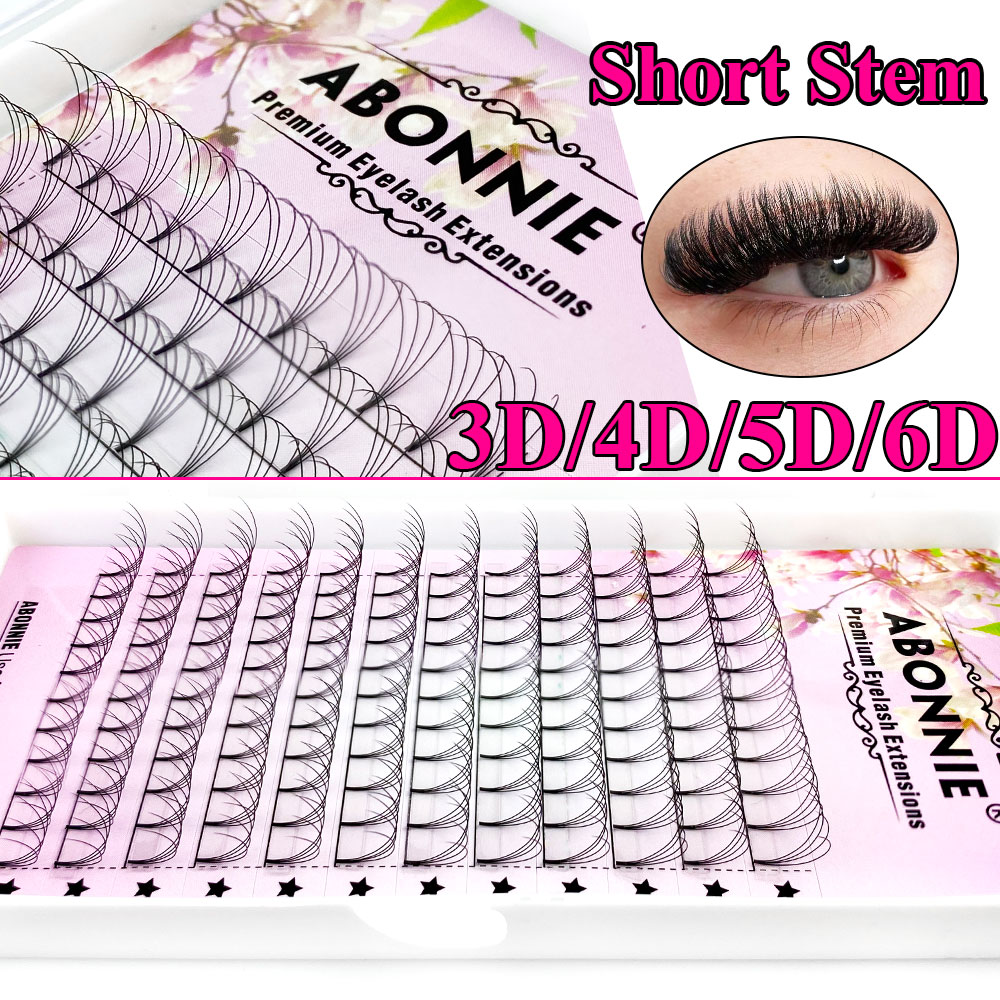 Abonnie 6D Narrow Fan Premade  - Eyelash Extension C Curl recensione e prezzo